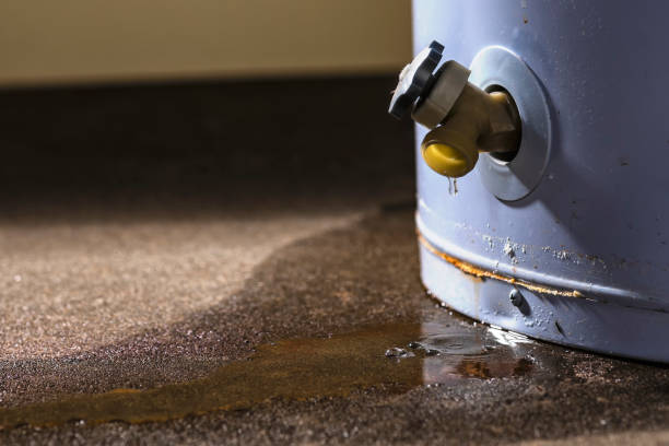 Best Water damage cleanup near me  in Concord, CA