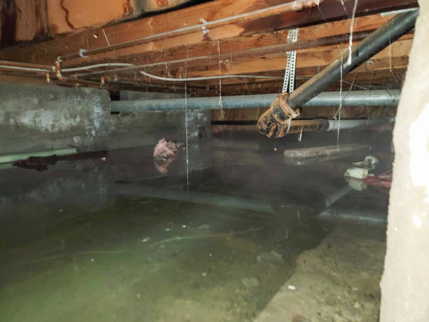 Best Water damage restoration services  in Concord, CA