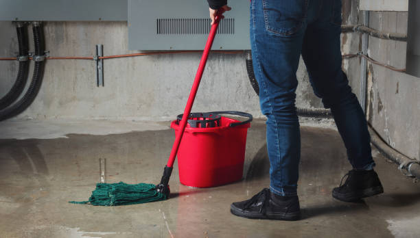 Best Fire Damage Restoration  in Concord, CA