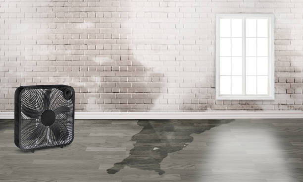 Best 24-hour water damage restoration  in Concord, CA