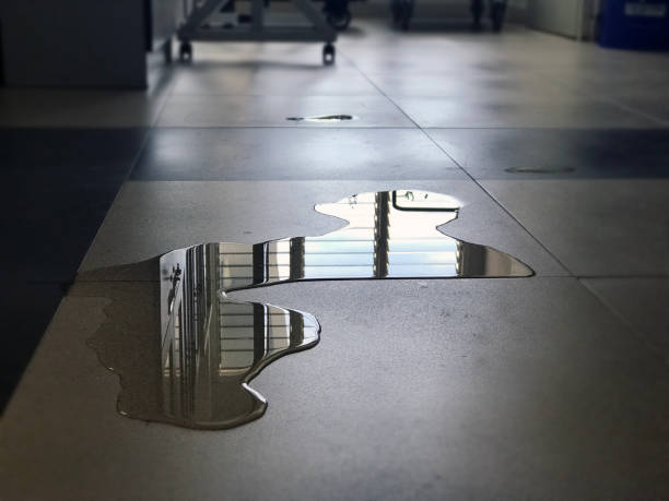Best Water damage contractors near me  in Concord, CA