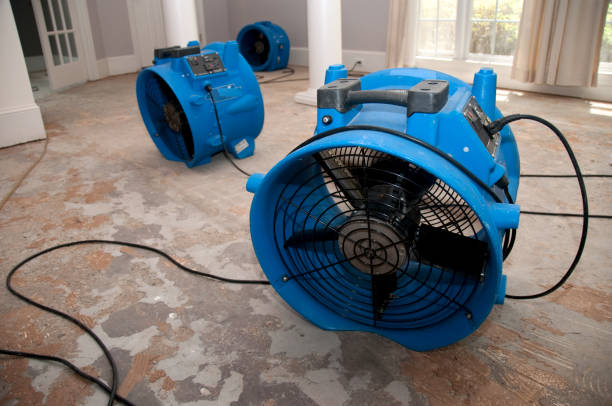 Best Water damage restoration insurance claims  in Concord, CA