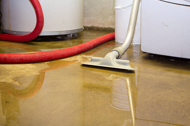 Best Ceiling water damage repair  in Concord, CA