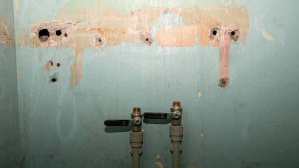 Best Mold removal after water damage  in Concord, CA