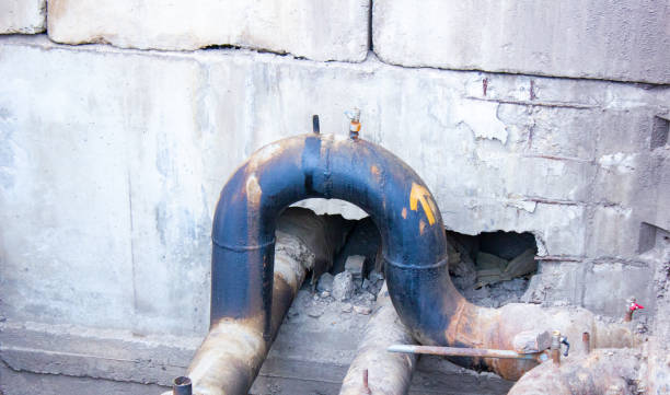 Best Water damage cleanup near me  in Concord, CA