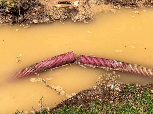 Best 24/7 water damage repair  in Concord, CA
