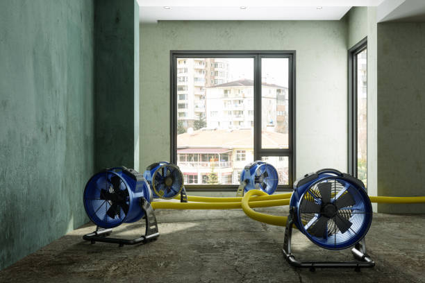 Best Water damage repair service  in Concord, CA